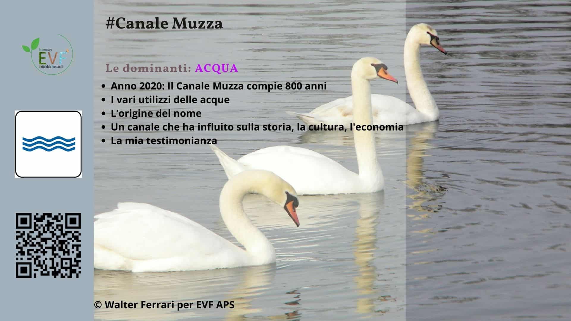 CANALEMUZZA-COVER dominanti ACQUA - Ecomuseo della Vettabbia e dei Fontanili