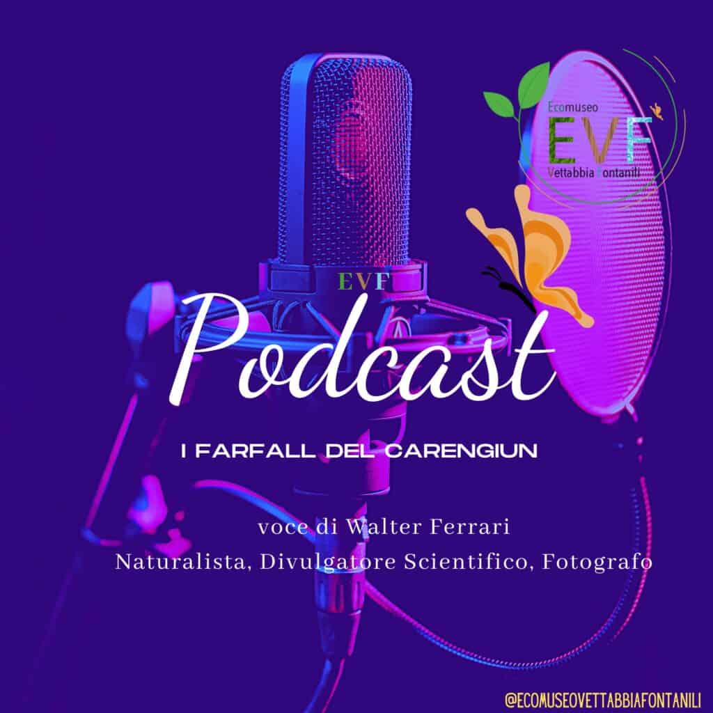 Podcast: I Farfall del Carengiun - Voce di Walter Ferrari