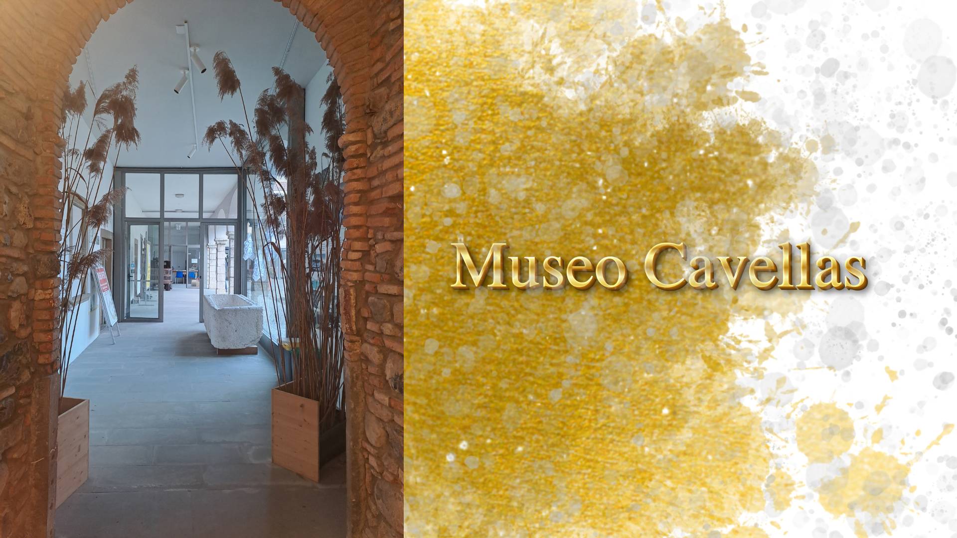 museo cavellas